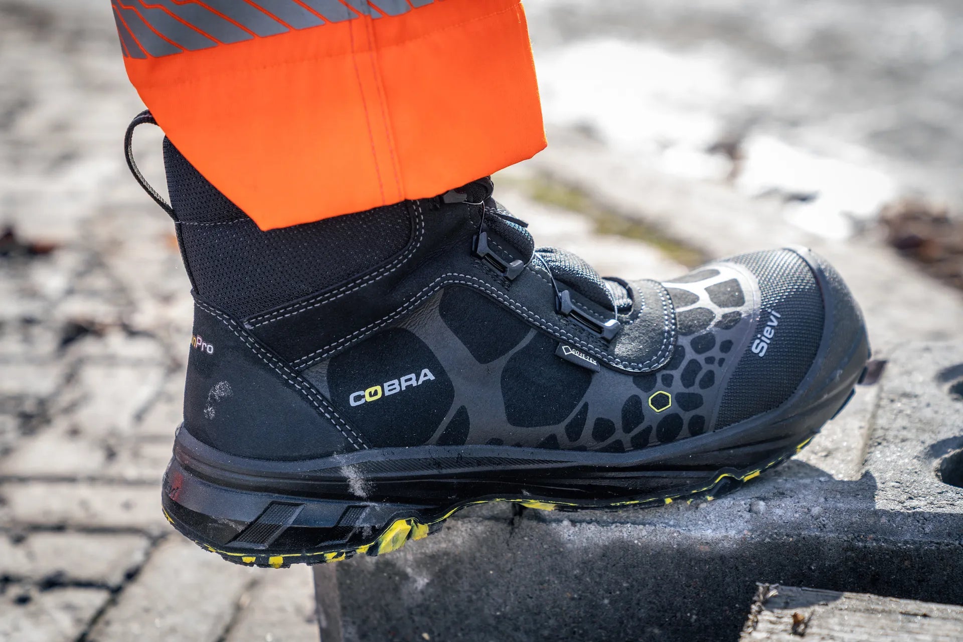 Cobra GT RollerH+ S7